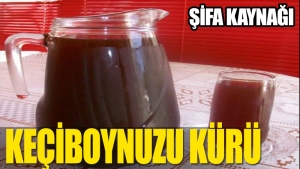 keciboynuzu-kurunun-yararlari-sasirtiyor-dRhUXH1j.jpg