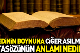 kedinin-boynuna-ciger-asilmaz-atasozunun-manasi-nedir-dcGFKyWl.jpg