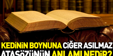 kedinin-boynuna-ciger-asilmaz-atasozunun-manasi-nedir-dcGFKyWl.jpg