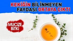 kekigin-bilinmeyen-yarari-ortaya-cikti-5K1G1E5c.jpg
