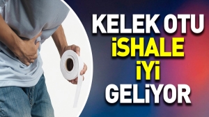 kelek-otu-ishale-yeterli-geliyor-zIxz1SpQ.jpg