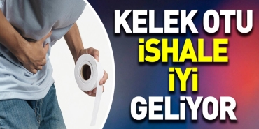 kelek-otu-ishale-yeterli-geliyor-zIxz1SpQ.jpg