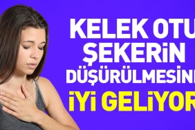 kelek-otu-sekerin-dusurulmesine-uygun-geliyor-qmCB2hkc.jpg