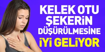kelek-otu-sekerin-dusurulmesine-uygun-geliyor-qmCB2hkc.jpg