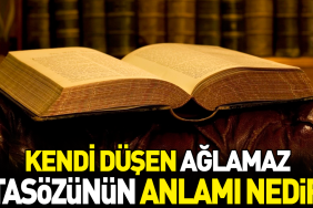 kendi-dusen-aglamaz-atasozunun-manasi-nedir-XpvpxRpJ.jpg