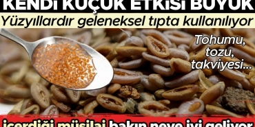 kendi-kucuk-tesiri-buyuk-karniyarik-otu-yuzyillardir-kl-sik-tipta-kullaniliyor-yararlari-saymakla-bitmiyor-eLsmvEtN.jpg