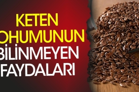keten-tohumunun-bilinmeyen-yararlari-bilimsel-arastirmalar-ve-uzman-goruslerinden-ortaya-cikti-qBiFuy1z.jpg