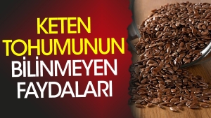 keten-tohumunun-bilinmeyen-yararlari-bilimsel-arastirmalar-ve-uzman-goruslerinden-ortaya-cikti-qBiFuy1z.jpg