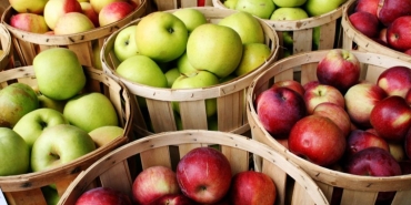 kirmizi-ve-yesil-elma-hangisi-daha-saglikli-kz7Rg4lr.jpg