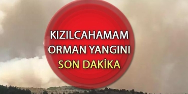 kizilcahamam-orman-yangini-son-dakika-bolu-valiliginden-aciklama-ankara-kizilcahamamda-yangin-sonduruldu-mu-son-72Zjp4Nx.jpg