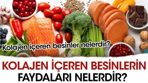 kolajen-iceren-besinlerin-yararlari-nelerdir-kolajen-iceren-besinler-nelerdir-IenJd2fg.jpg