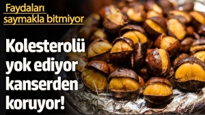 kolesterolu-yok-ediyor-kanserden-koruyor-yararlari-saymakla-bitmiyor-6i3q1PUy.jpg