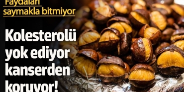 kolesterolu-yok-ediyor-kanserden-koruyor-yararlari-saymakla-bitmiyor-6i3q1PUy.jpg