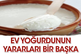 konut-yogurdunun-az-bilinen-faydalari-8gYwQHpn.jpg