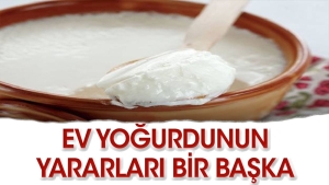 konut-yogurdunun-az-bilinen-faydalari-8gYwQHpn.jpg
