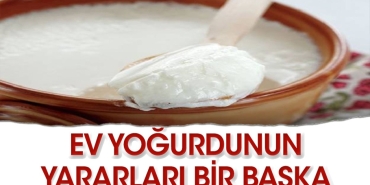 konut-yogurdunun-az-bilinen-faydalari-8gYwQHpn.jpg