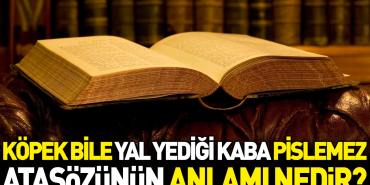 kopek-bile-yal-yedigi-kaba-pislemez-atasozunun-manasi-nedir-Hul2AjK2.jpg
