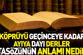kopruyu-gecinceye-kadar-ayiya-dayi-derler-atasozunun-manasi-nedir-68ryHZnN.jpg