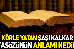 korle-yatan-sasi-kalkar-atasozunun-manasi-nedir-aFpZVukU.jpg