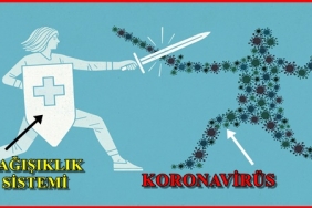 koronavirus-ile-savasmada-tesirli-formul-bagisiklik-sistemimizi-guclendirmek-icin-ne-yapmaliyiz-Q1lxQYAN.jpg