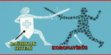 koronavirus-ile-savasmada-tesirli-formul-bagisiklik-sistemimizi-guclendirmek-icin-ne-yapmaliyiz-Q1lxQYAN.jpg