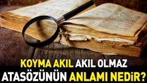 koyma-akil-akil-olmaz-atasozunun-manasi-nedir-JAzAtfzZ.jpg