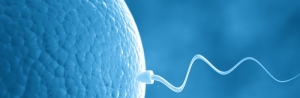 kucuk-tup-bebek-nedir-uQUy9WaP.jpg