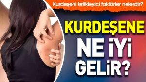 kurdesene-ne-l-gelir-kurdeseni-tetikleyici-faktorler-nelerdir-QWlUWUKN.jpg