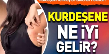 kurdesene-ne-l-gelir-kurdeseni-tetikleyici-faktorler-nelerdir-QWlUWUKN.jpg