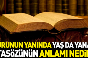 kurunun-yaninda-yas-da-yanar-atasozunun-manasi-nedir-7j2POwZl.jpg