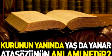 kurunun-yaninda-yas-da-yanar-atasozunun-manasi-nedir-7j2POwZl.jpg
