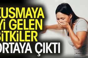 kusmaya-yeterli-gelen-bitkiler-ortaya-cikti-f4haC5cL.jpg