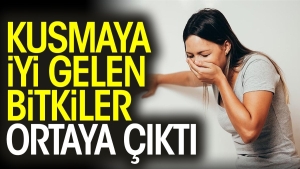 kusmaya-yeterli-gelen-bitkiler-ortaya-cikti-f4haC5cL.jpg