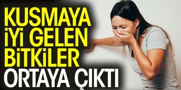 kusmaya-yeterli-gelen-bitkiler-ortaya-cikti-f4haC5cL.jpg