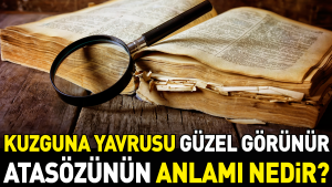 kuzguna-yavrusu-hos-gorunur-atasozunun-manasi-nedir-2qqre4h5.jpg