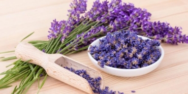 lavantanin-yararlari-nelerdir-lavanta-neye-l-geliyor-627qeYcl.jpg