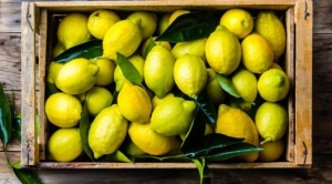 limon-kabugunun-6-yarari-l7OIcCi9.jpg