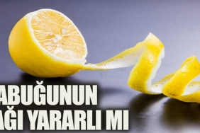limon-yagi-ne-ise-fayda-TQhR9qRV.jpg