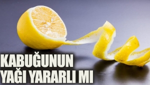 limon-yagi-ne-ise-fayda-TQhR9qRV.jpg