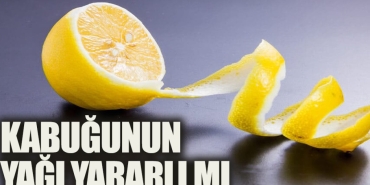 limon-yagi-ne-ise-fayda-TQhR9qRV.jpg