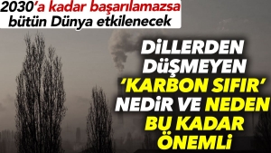lisanlardan-dusmeyen-karbon-sifir-nedir-ve-neden-bu-kadar-degerli-qWBMMsSs.jpg