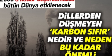 lisanlardan-dusmeyen-karbon-sifir-nedir-ve-neden-bu-kadar-degerli-qWBMMsSs.jpg