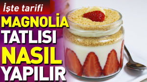 magnolia-nasil-yapilir-9FemyOO8.jpg
