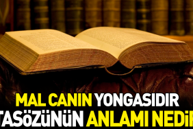 mal-canin-yongasidir-atasozunun-manasi-nedir-L3EbPuAZ.jpg