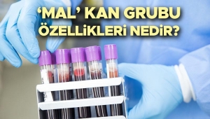 mal-kan-kumesi-acilimi-mal-kan-kumesi-nedir-kimlerde-var-ozellikleri-neler-insan-genetiginde-RTIPxcRR.jpg