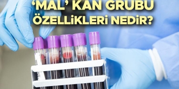 mal-kan-kumesi-acilimi-mal-kan-kumesi-nedir-kimlerde-var-ozellikleri-neler-insan-genetiginde-RTIPxcRR.jpg