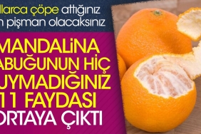 mandalina-kabugunun-hic-duymadiginiz-11-yarari-ortaya-cikti-yillarca-cope-attiginiz-icin-pisman-olacaksiniz-c9CIMNLi.jpg