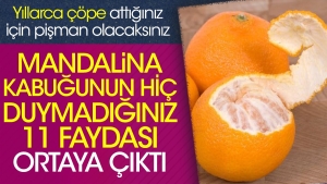 mandalina-kabugunun-hic-duymadiginiz-11-yarari-ortaya-cikti-yillarca-cope-attiginiz-icin-pisman-olacaksiniz-c9CIMNLi.jpg