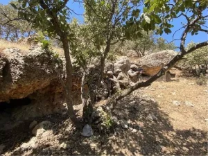 mardin-nusaybinde-3-terorist-etkisiz-hale-getirildi-gAYMFyqv.jpg