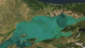 marmara-denizi-alarm-veriyor-sicakligi-25-derece-artti-AgKT7SGY.jpg